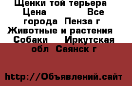 Щенки той терьера › Цена ­ 10 000 - Все города, Пенза г. Животные и растения » Собаки   . Иркутская обл.,Саянск г.